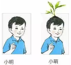 你可能帶了假腦子來參加考試